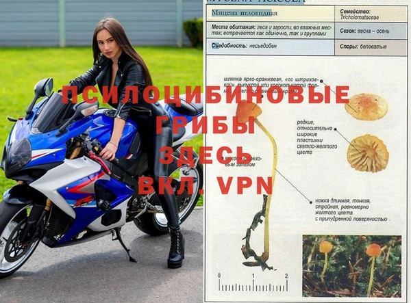 метадон Нефтекумск