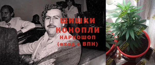 мдпв Нея