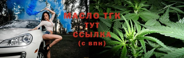 мдпв Нея